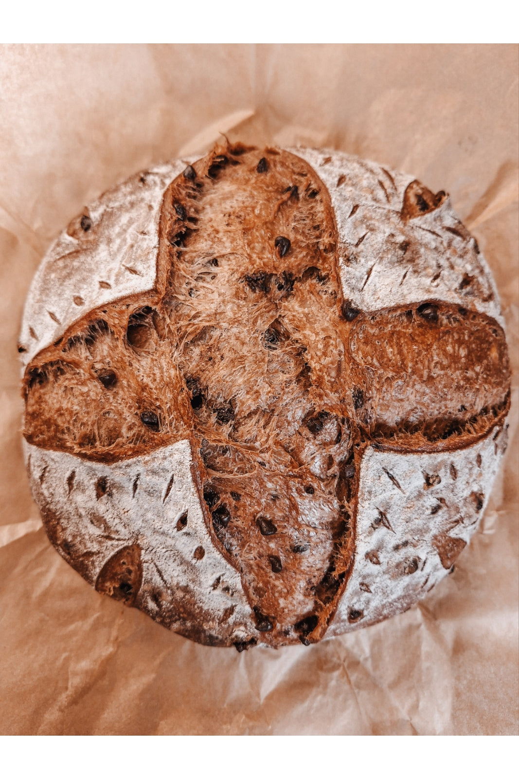 Chocolate Chip Sourdough Boule