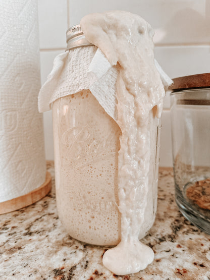 Sourdough 101 Beginner Class 6/28