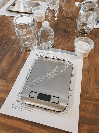 Sourdough Starter Feeding Instructions