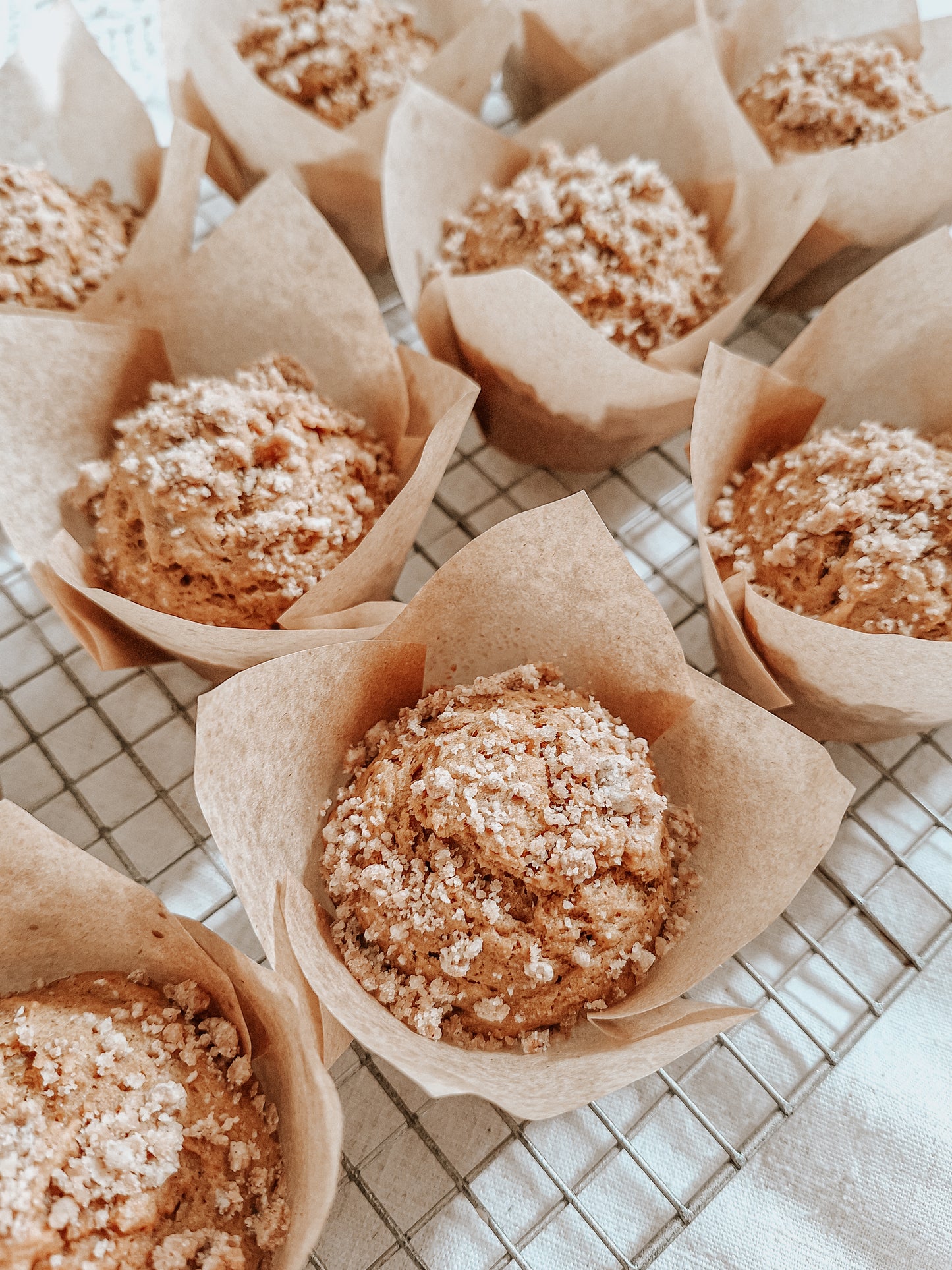 Sourdough Pumpkin Spice Muffins with Crumb Topping (4)