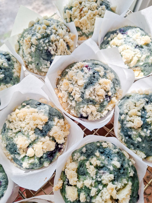 Sourdough Blueberry Muffins with Crumb Topping (4)