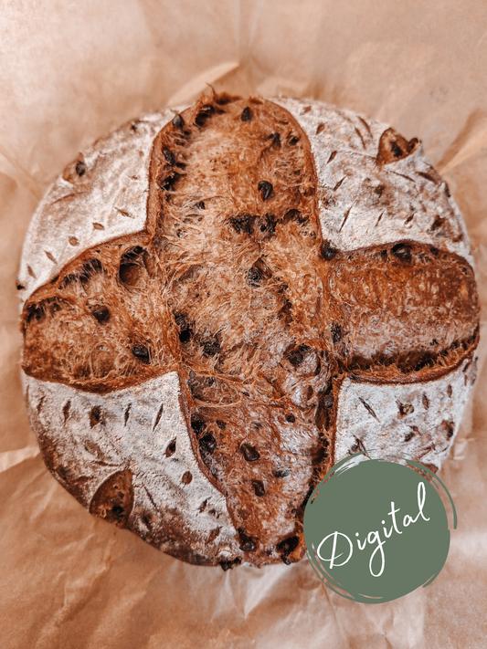 Chocolate Chip Sourdough Boule-DIGITAL