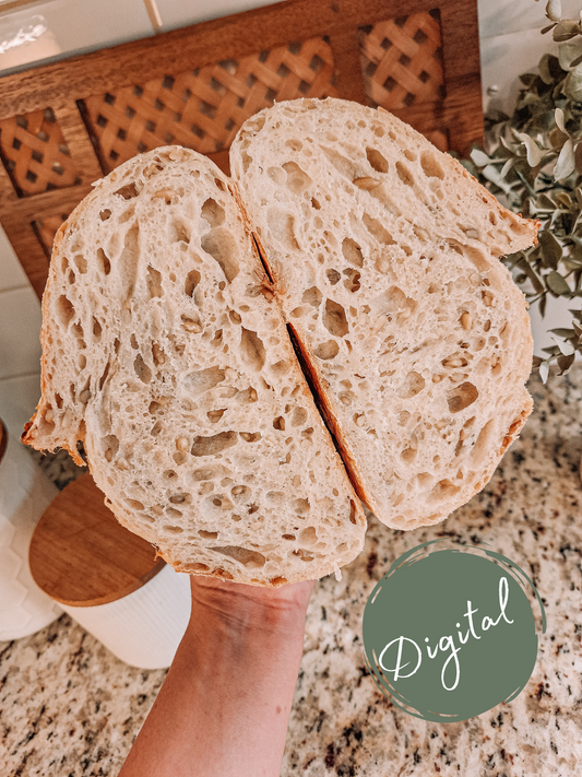 Original Sourdough Boule-DIGITAL